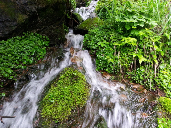d52c0133368d082c3af5cda79e79ab19.jpg